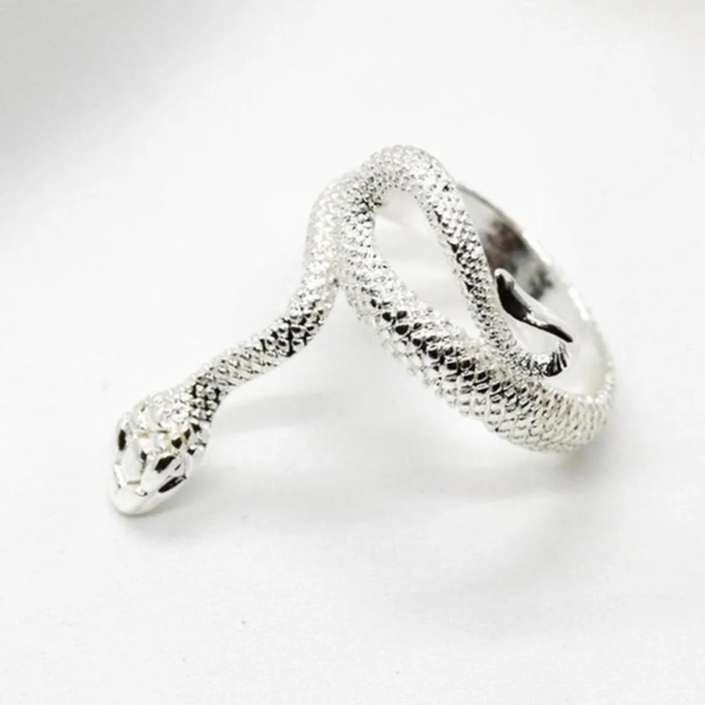 Silver Snake Design Ring - Picture 1 of 4